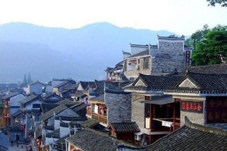 营救小乌龟
